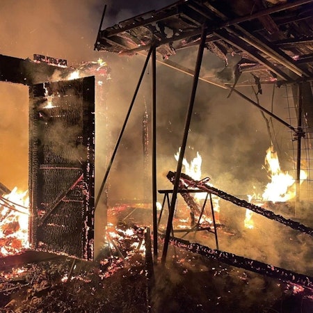 Die brennenden Bienenstöcke.