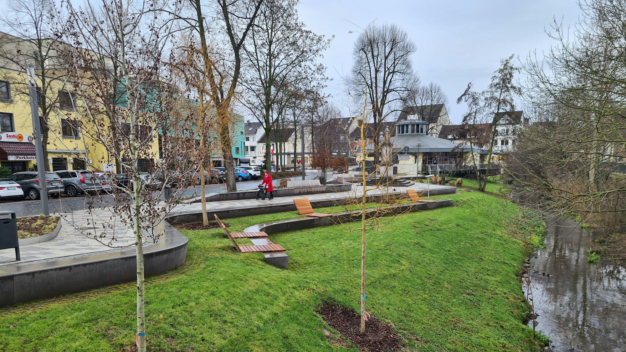 Bäume am Bergheimer Erftboulevard