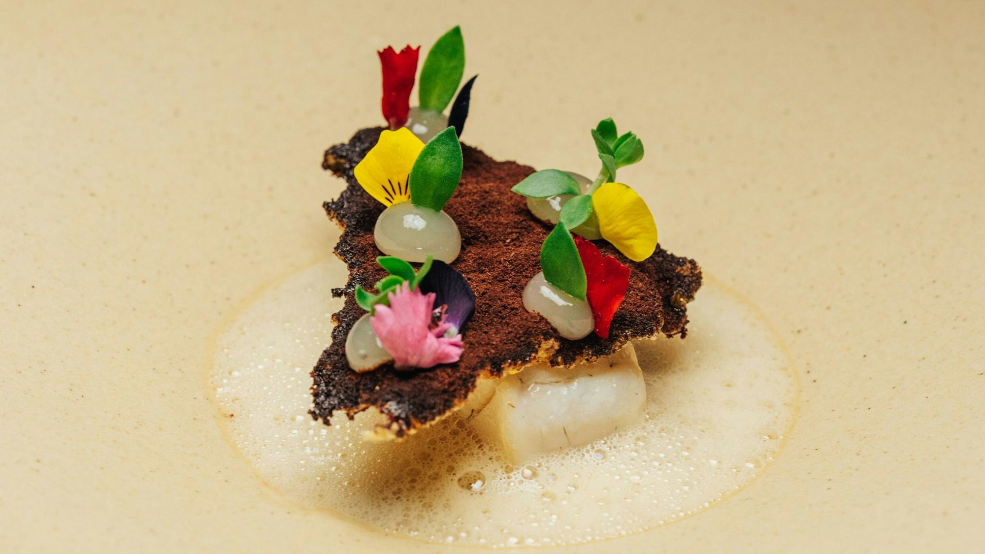 Der Zander wird im Ox & Klee in Köln auf einem schlichten weißen Teller serviert. Er schwimmt in einem hellen Kakao-Schaum und ist belegt mit Rousong, einer Art Fleischwolle, und einem Bergamotten-Gel.