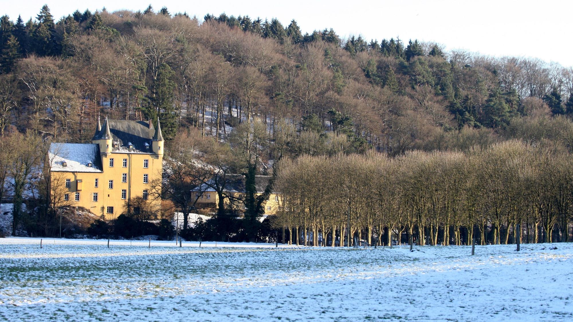 Ein gelbes Schloss ist hinter einer schneebedeckten Wiese am Waldrand zu sehen.