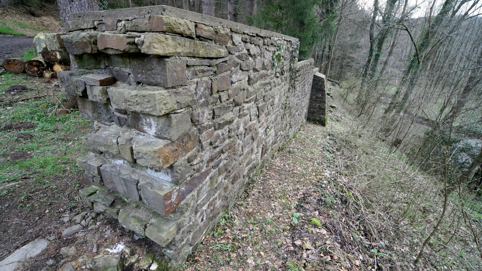 Eine Bruchsteinmauer steht in einem Wald.