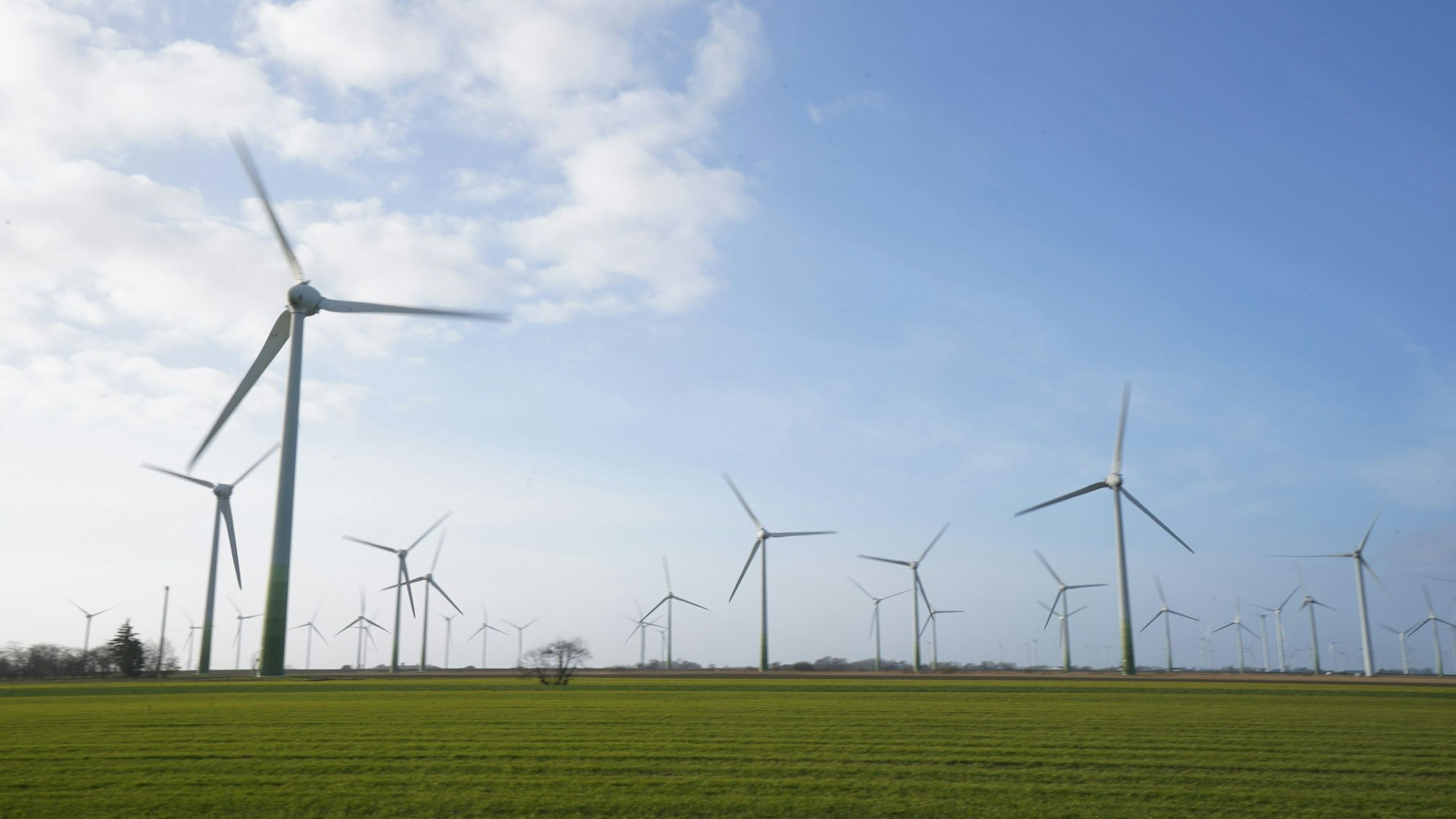 Man sieht ein Panoramafoto mit Windrädern, blauer Himmel mit wenig Wolken, sowie grüne Fleder.