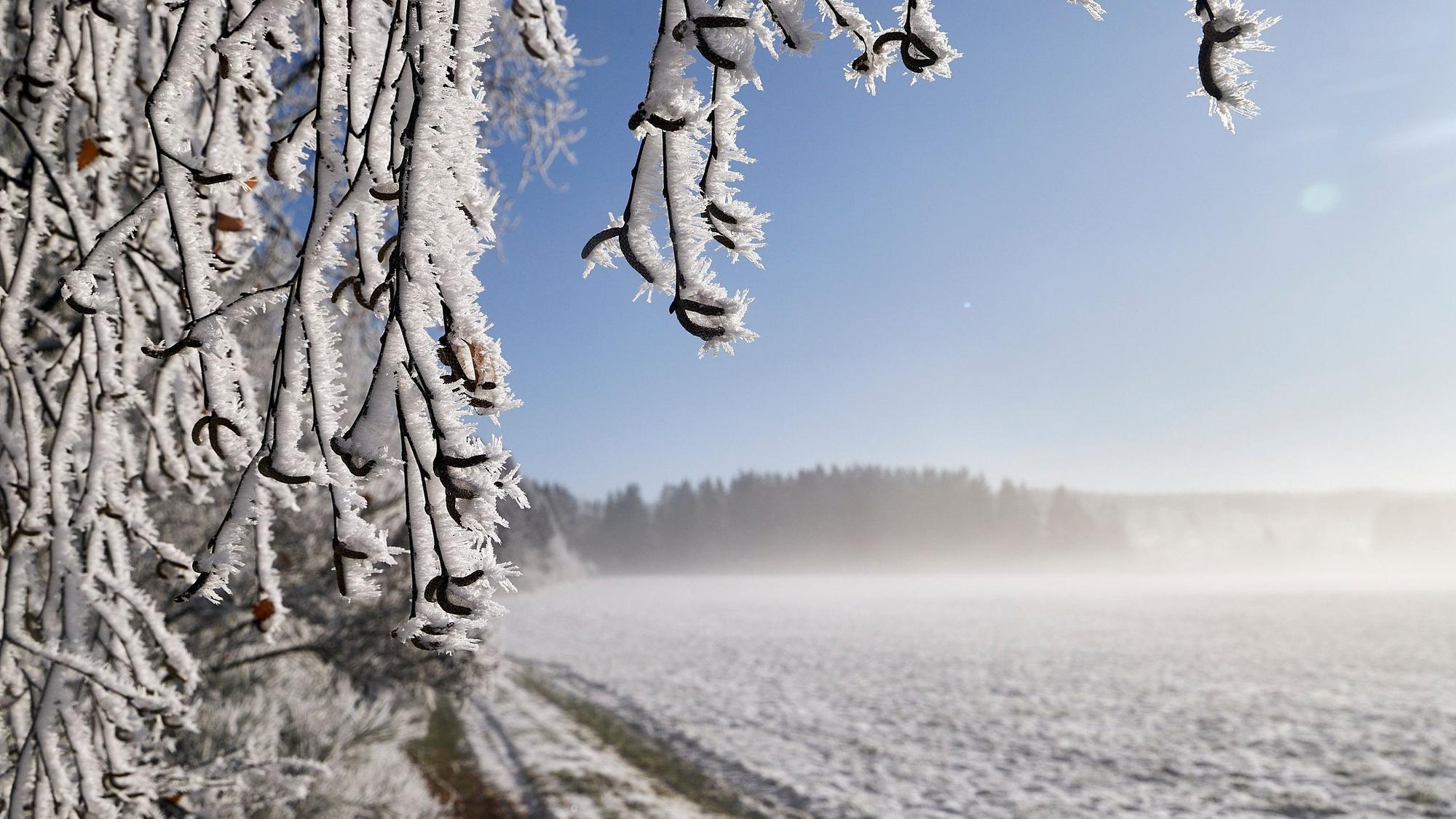 Schnee in der Eifel.