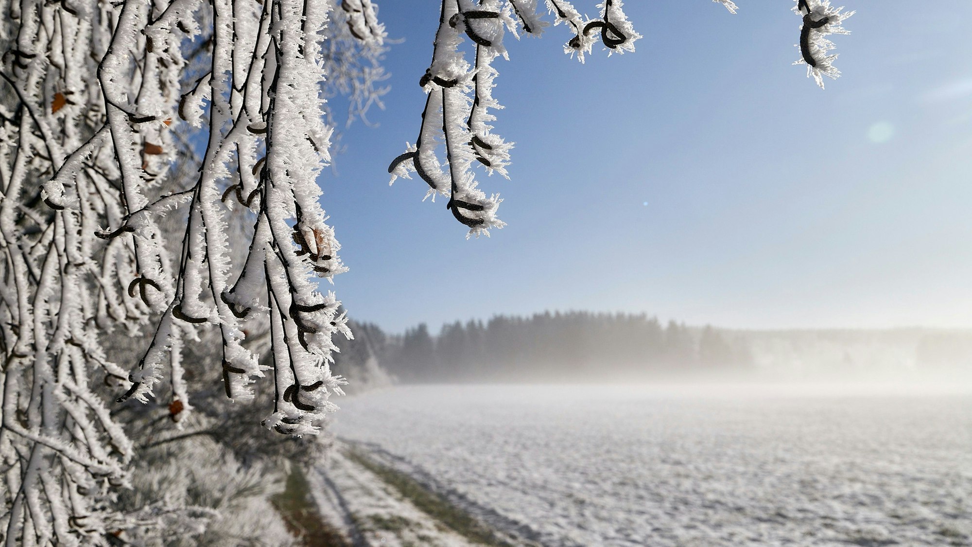 Schnee in der Eifel.