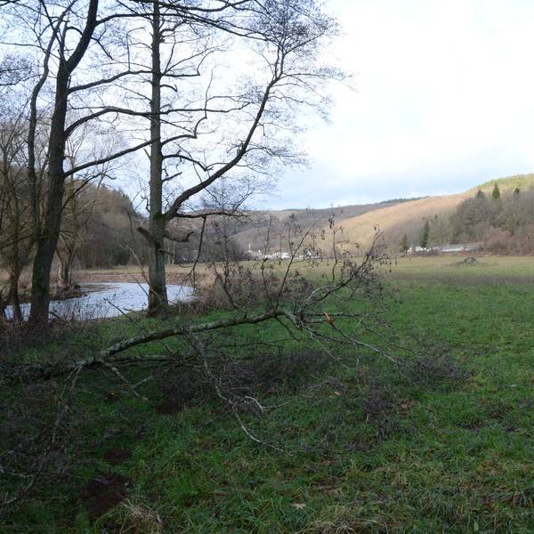 Ein Fluss schlängelt sich durchs Tal. Im Vordergrund liegt ein umgestürzter Baum.