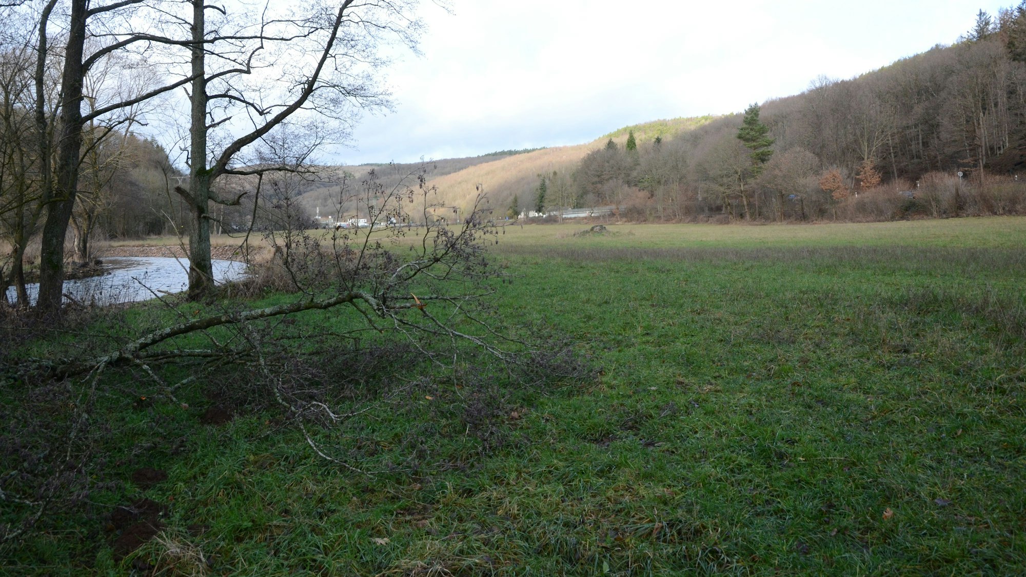 Links ist ein Teil der Urft zu sehen. Die große Wiese mit Blick Richtung Mauel soll künftig dem Hochwasserschutz dienen.
