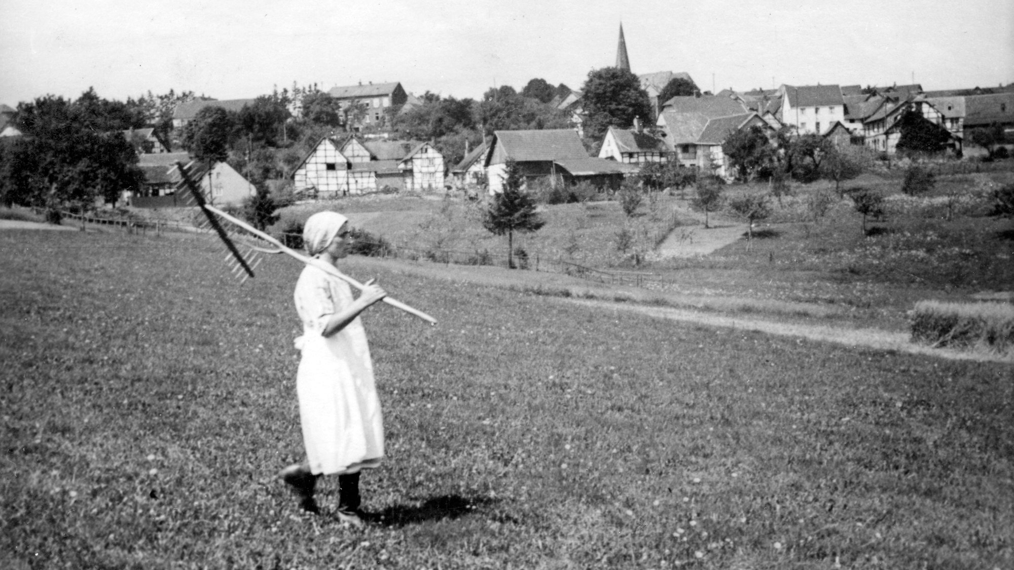 In den 1930er Jahren entstand das Bild, das eine junge Frau mit Heurechen auf einer Wiese zeigt. Im Hintergrund ist das Dorf Wollseifen zu sehen, dessen Bewohner 1946 vertrieben wurden.