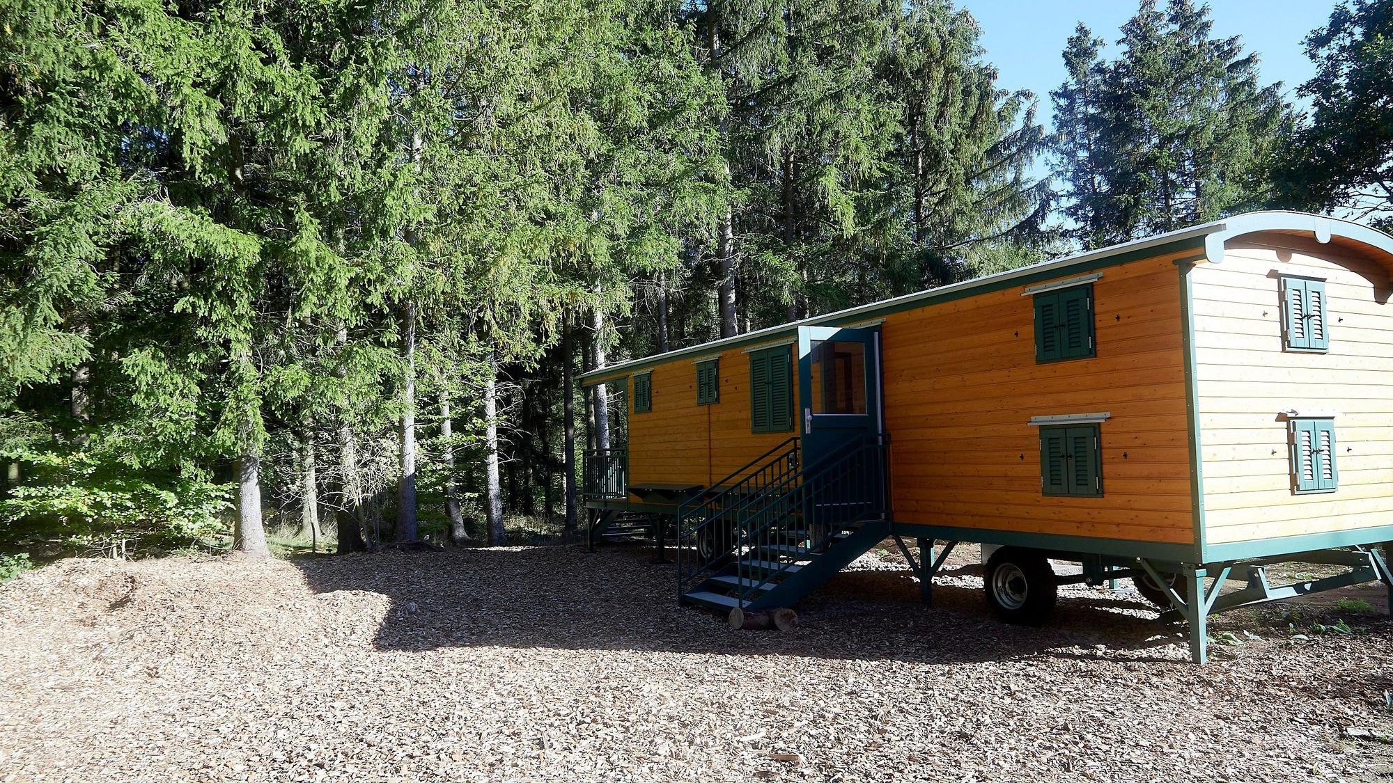 Ein Bauwagen in einem Waldkindergarten steht vor Bäumen bei Sonnenschein.