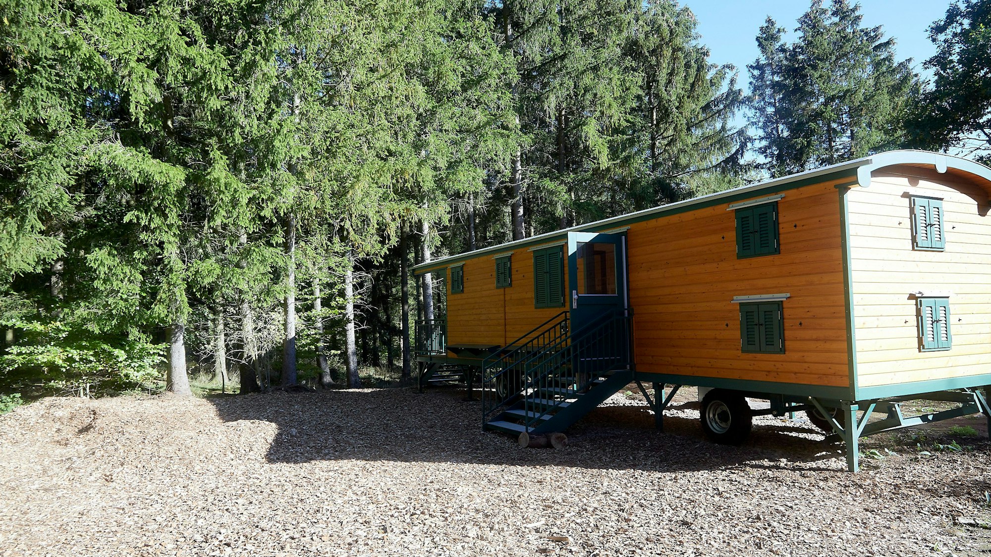 Ein Bauwagen in einem Waldkindergarten steht vor Bäumen bei Sonnenschein.