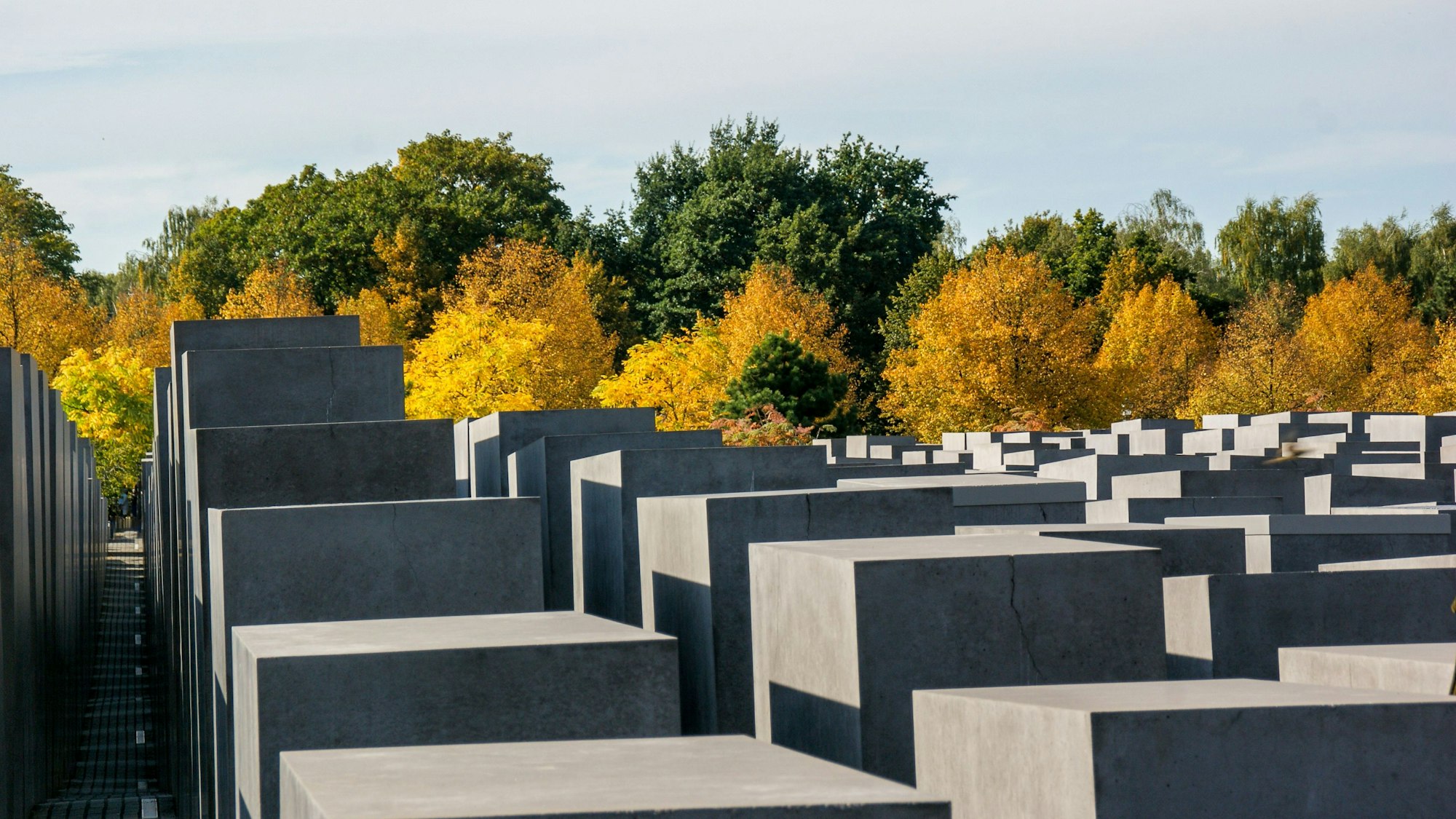 Das Holocaust-Mahnmal in Berlin mit seinen Beton-Stelen ist im Vordergrund zu sehen, im Hintergrund stehen Bäume mit gelb-verfärbten Blättern.