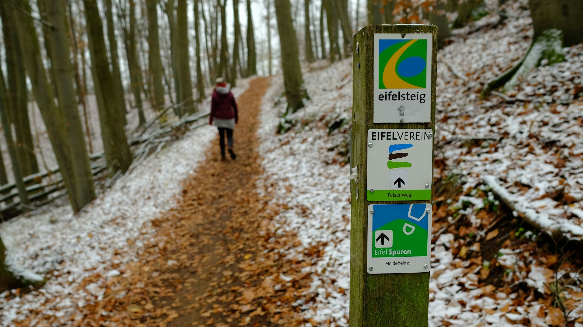 Ein Pfahl hat drei Embleme für Wanderrouten. Dahinter ist ein Weg zu sehen. Laub ist vereist.