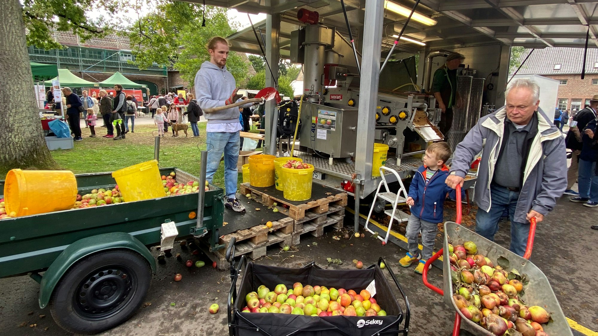 Geschäftiges Treiben rund um Äpfel findet auf dem Hof von Gut Leidenhausen statt.