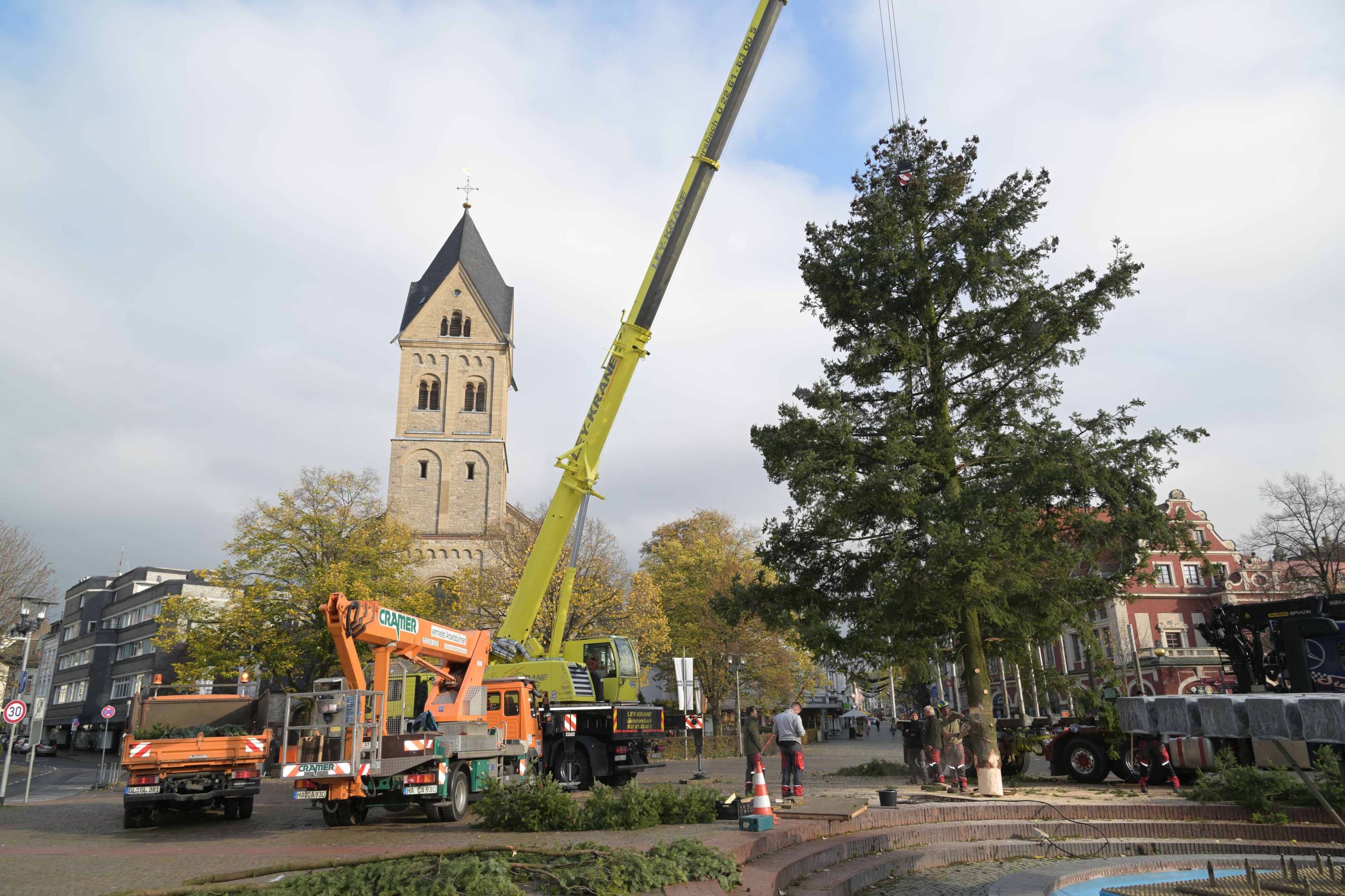 Das Foto zeigt, wie der Weihnachtbaum auf dem Konrad-Adenauer-Platz in Bergisch Gladbach aufgestellt wird.