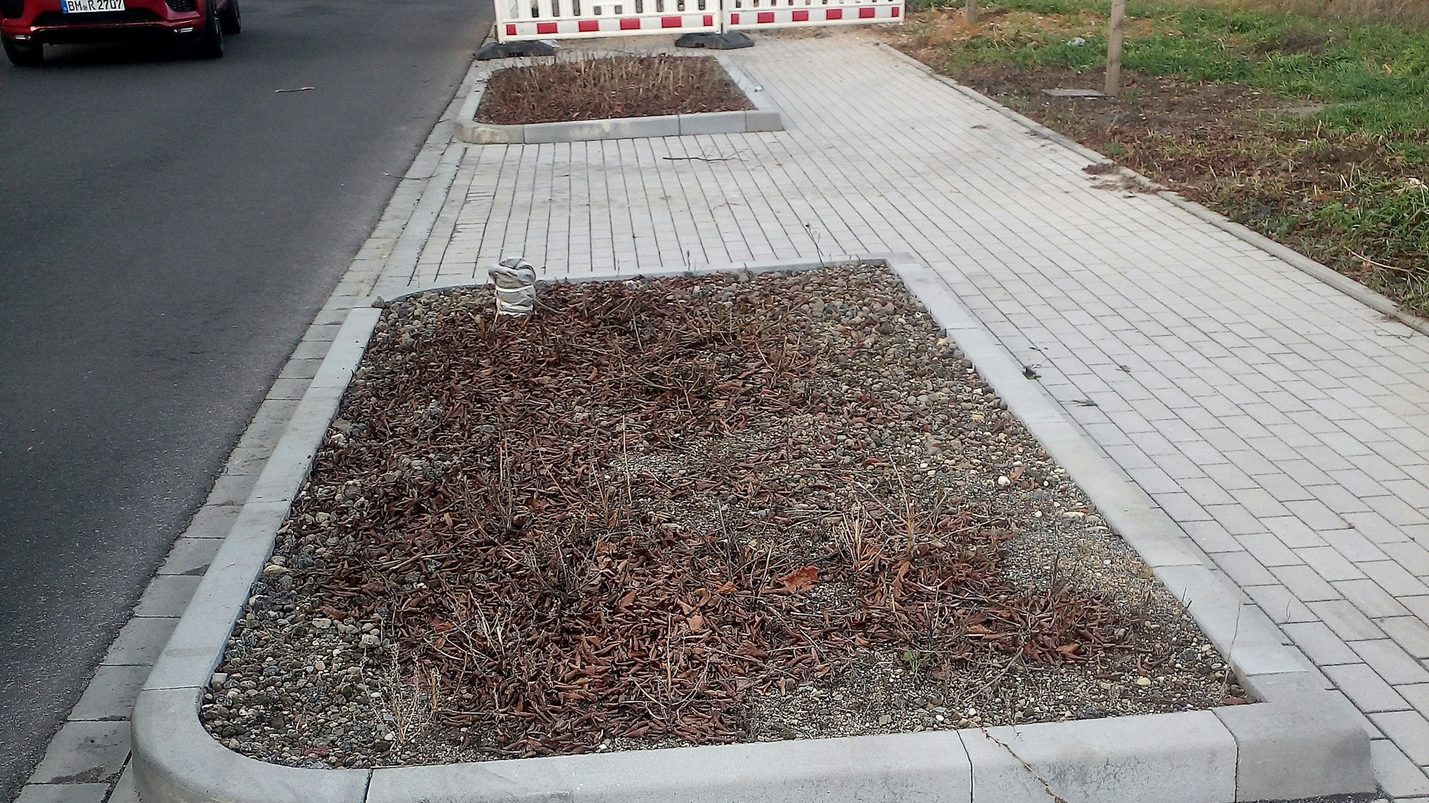 Zwei leere Beete nach der Fällung eines Baumes