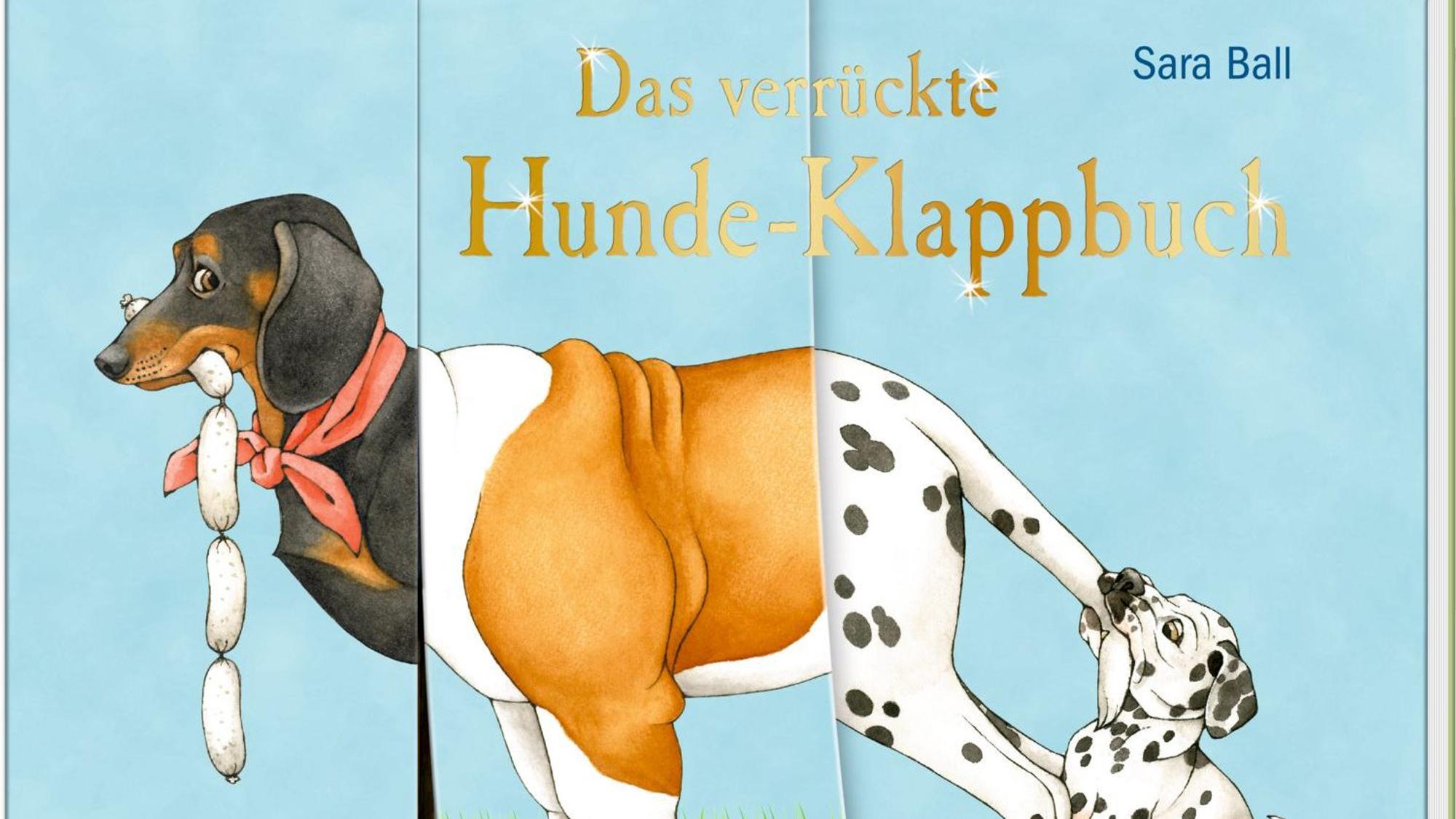 Cover des Buches "Das verrückte Hunde-Klappbuch"