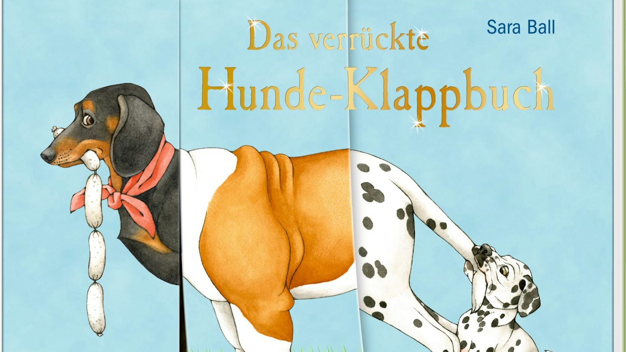 Cover des Buches "Das verrückte Hunde-Klappbuch"