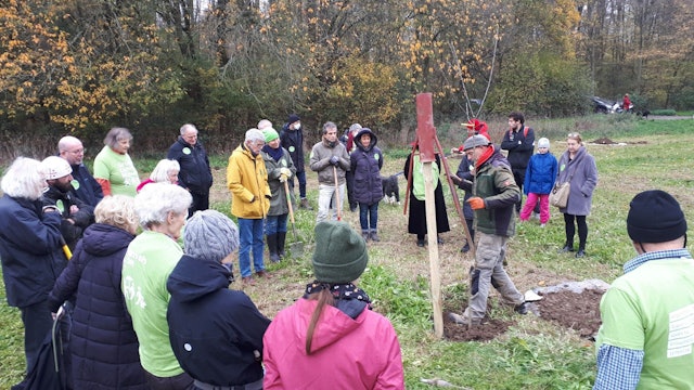 Ein Mann pflanzt einen Baum, viele Menschen schauen dabei zu.