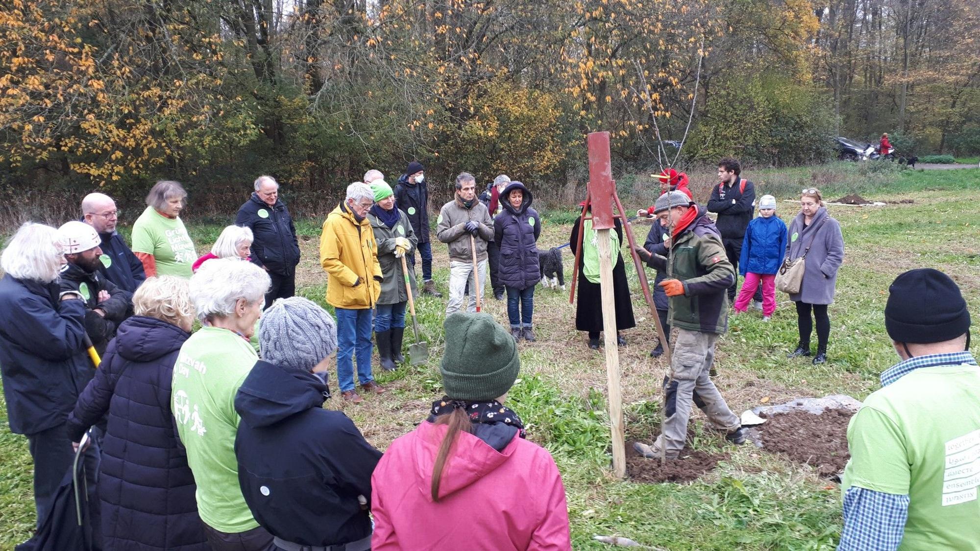 Ein Mann pflanzt einen Baum, viele Menschen schauen dabei zu.