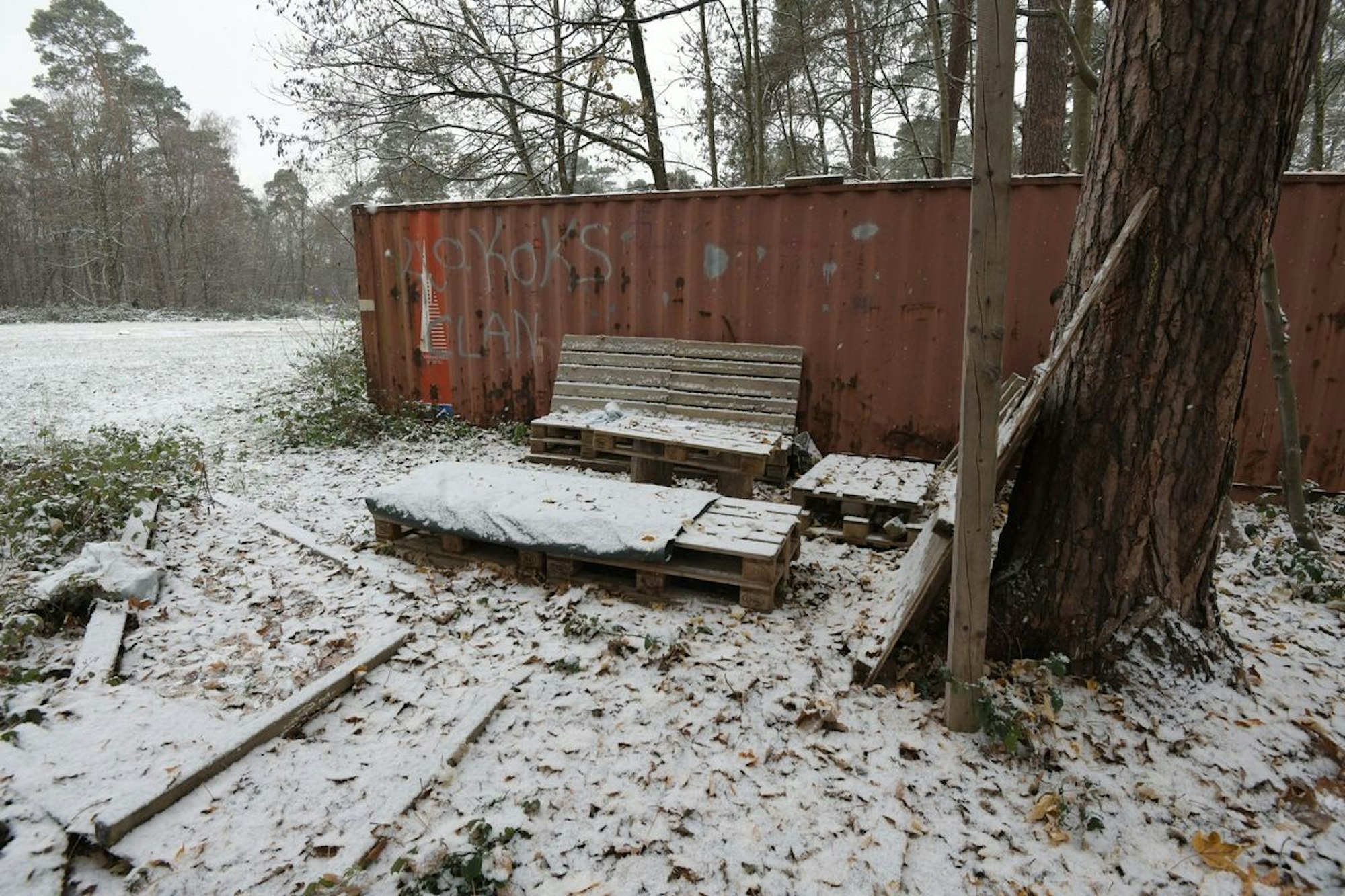Das Foto zeigt die Sitzgelegenheit im Königsforst