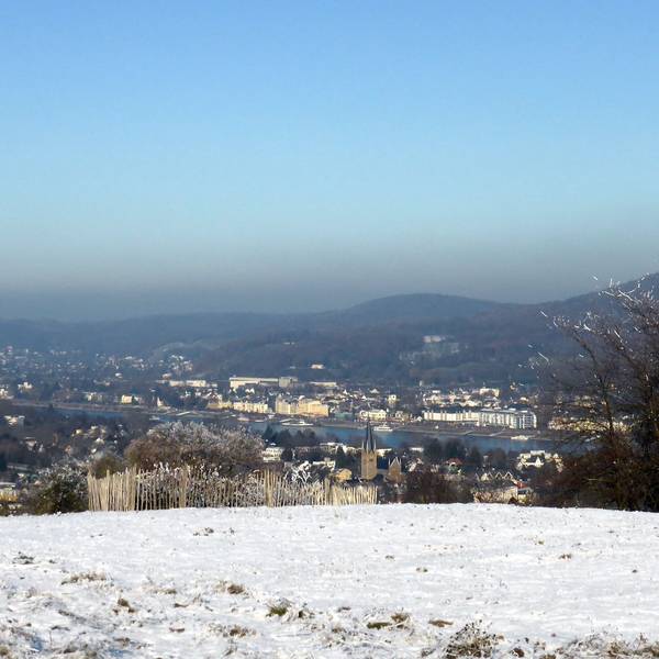 Herrlicher Ausblick über das Rheintal