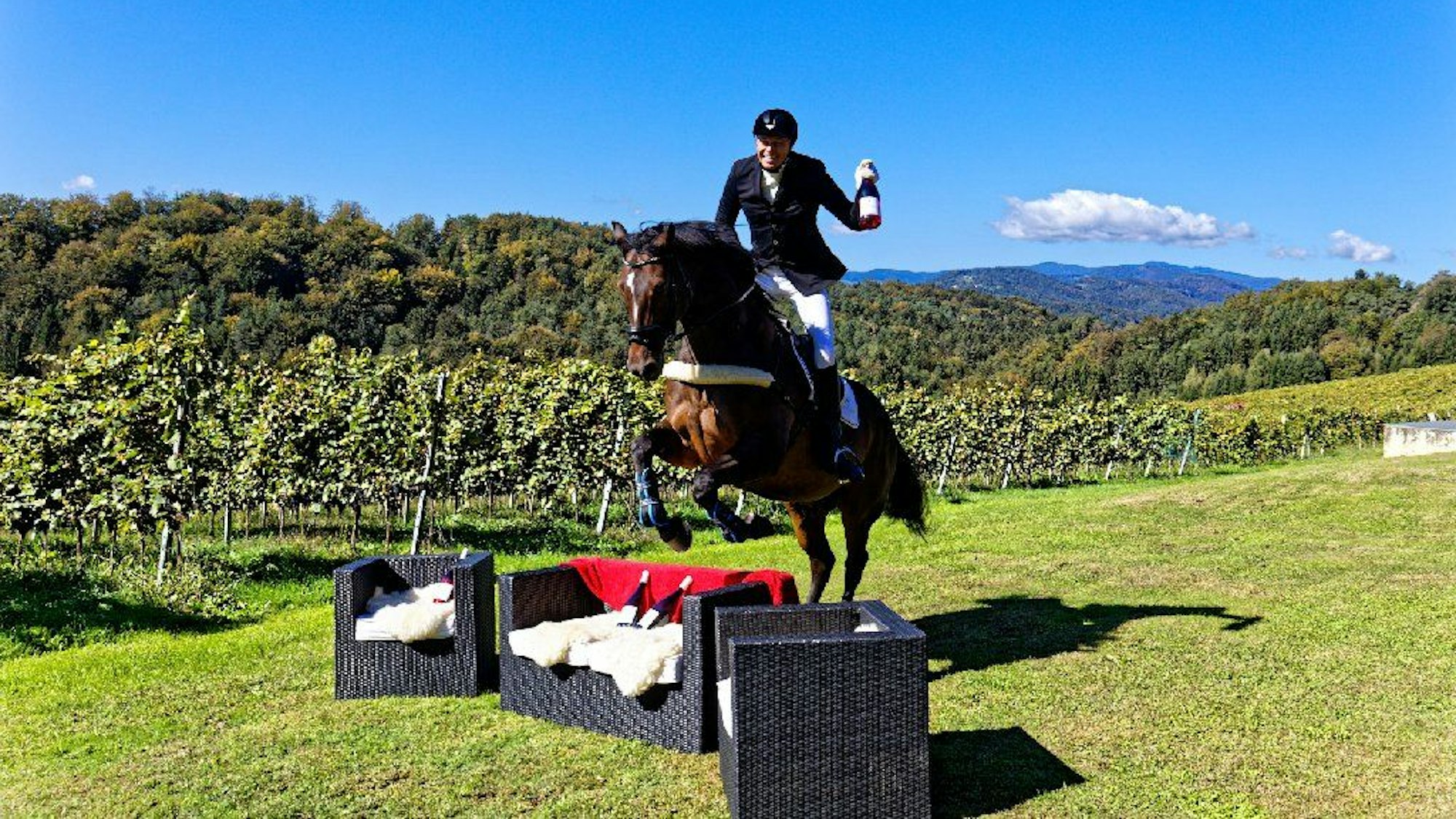 Ein Mann springt mit einem Pferd über Gartenmöbel und hält dabei eine Weinflasche in der Hand. Im Hintergrund sind Weinreben.