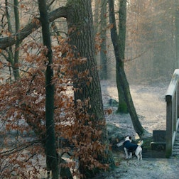 Hans Peter Geerdes als Künstler und Scooter-Frontmann H.P. Baxxter in einer Szene des Films ‚Fck 2020 - Zweieinhalb Jahre mit Scooter‘ (undatierte Filmszene).