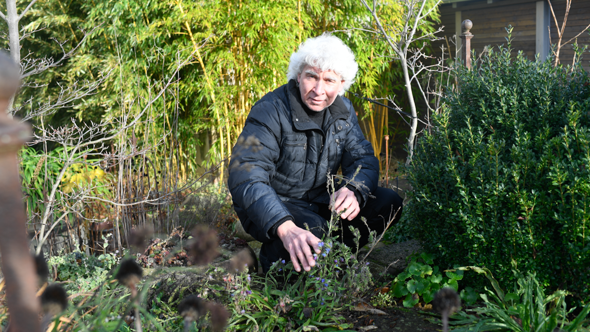 Peter Sturm steht zwischen Sträuchern in seinem Garten.