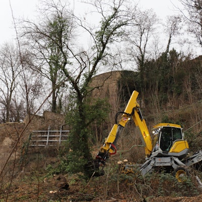 Ein Schreitbagger steht an einem Hand und holzt Bäume ab.