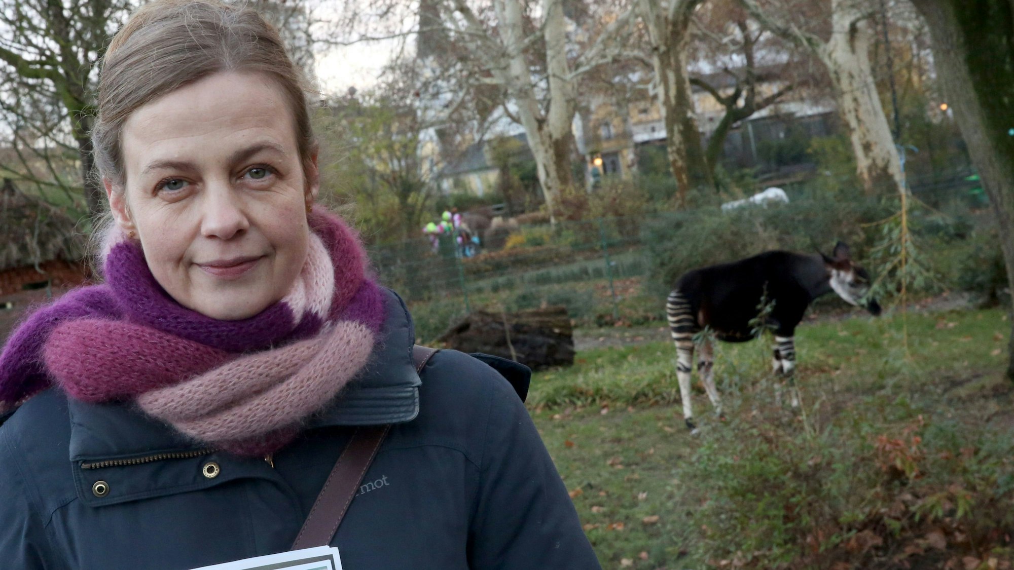 Mit Futter angelockt, ist im Hintergrund der Bulle „Dayo“, das Patentier von Autorin Mariana Leky zu sehen.