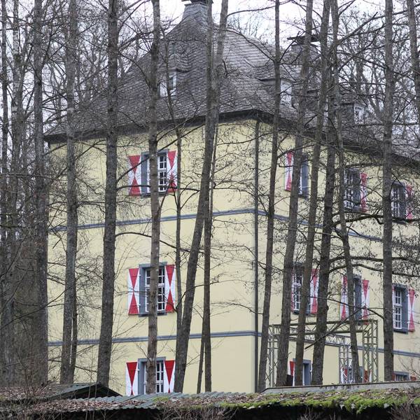 Die Burg Welterode in Eitorf mit gelber Fassade und weiß-roten Fensterläden, umringt von Bäumen.