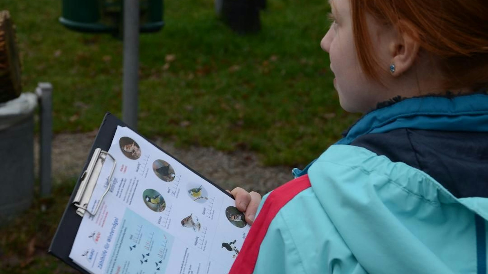 Ein Kind hält einen Zählbogen für Vögel des Nabu in der Hand.