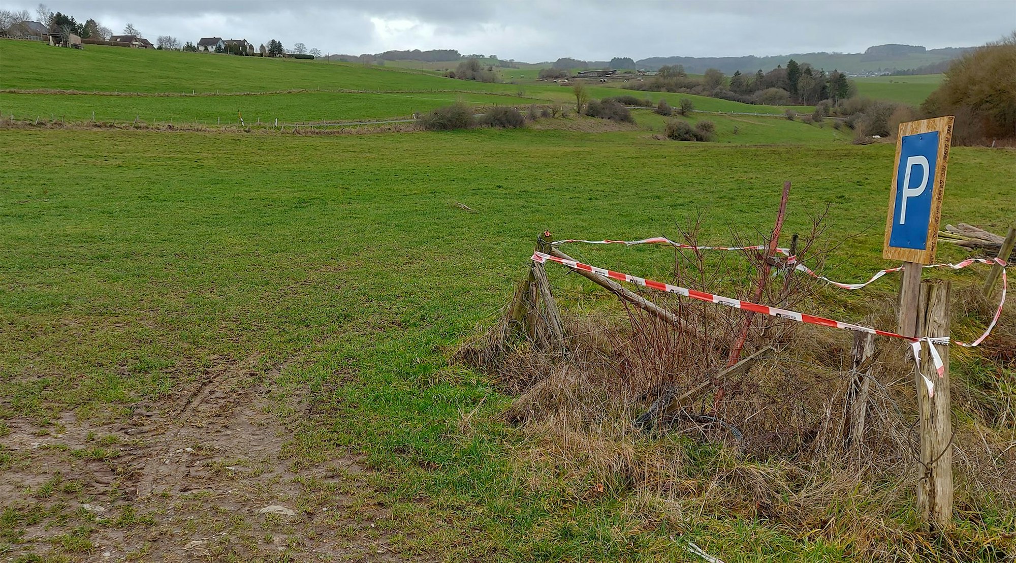 Ein Parkplatz-Schild ist an einer Wiese aufgestellt.