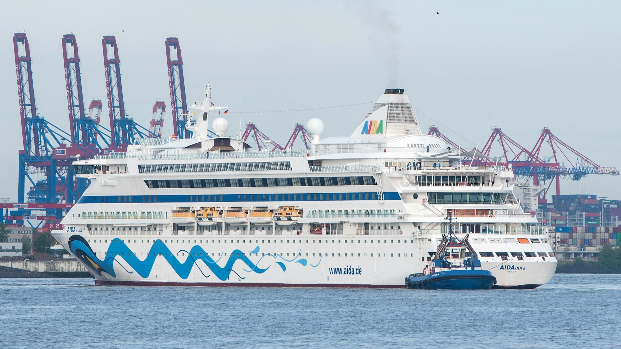 Das Kreuzfahrtschiff „AIDAaura“ steht vor großen Kränen im Hamburger Hafen.