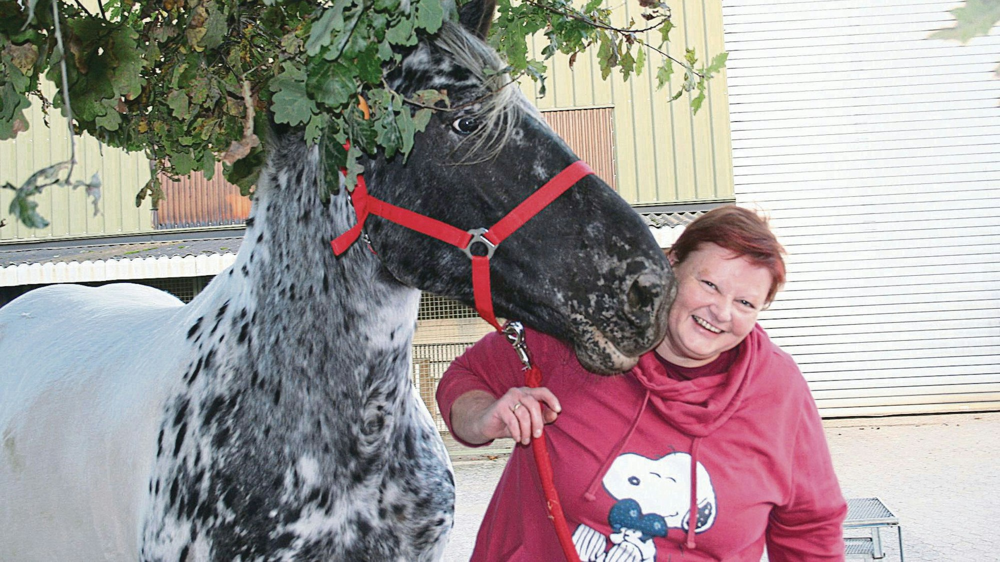 Eine Frau steht neben einem Pferd.