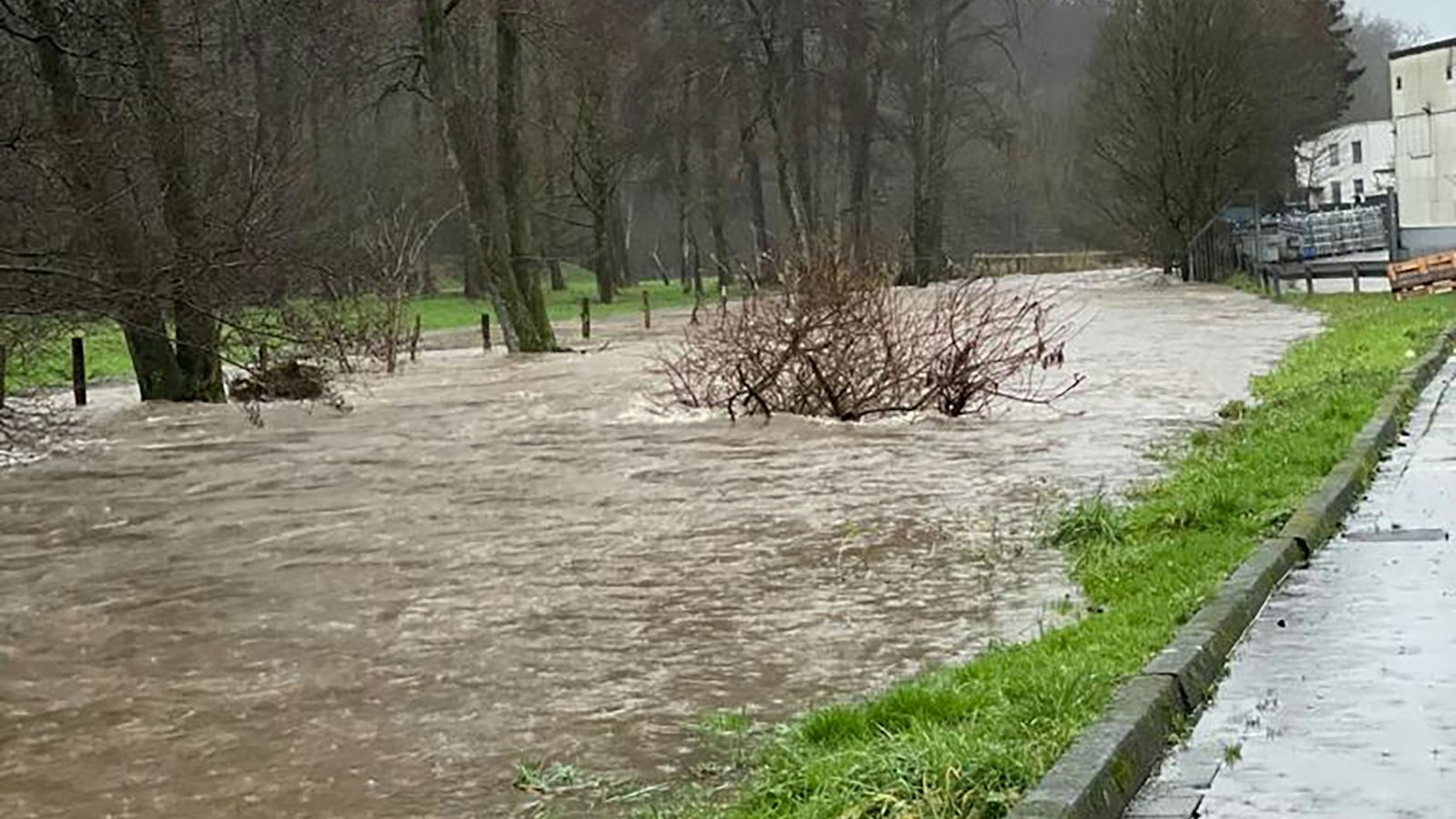 Der Pegel bei Rebbelroth steht fast bis zu Straße. Im Wasser sind Äste zu sehen, daneben verläuft eine Straße.