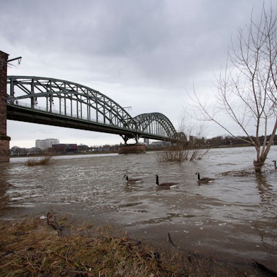 Rheinhochwasser im Januar an der Südbrücke (Archivbild).