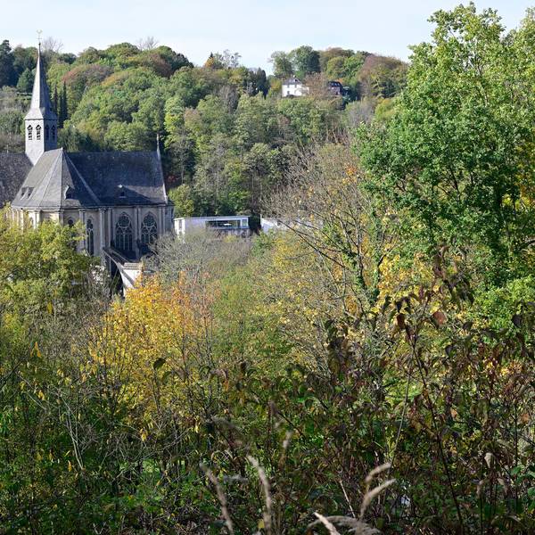 Der Altenberger Dom im Herbst