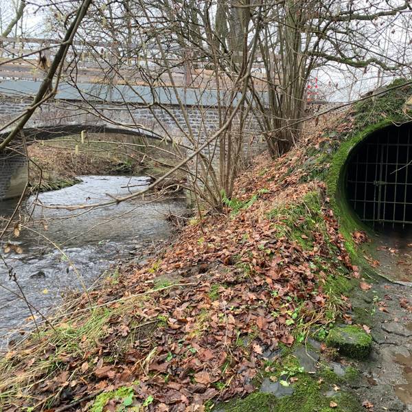 Neben einem Bach, über den eine Brücke führt, ist eine vergitterte Öffnung zu sehen.