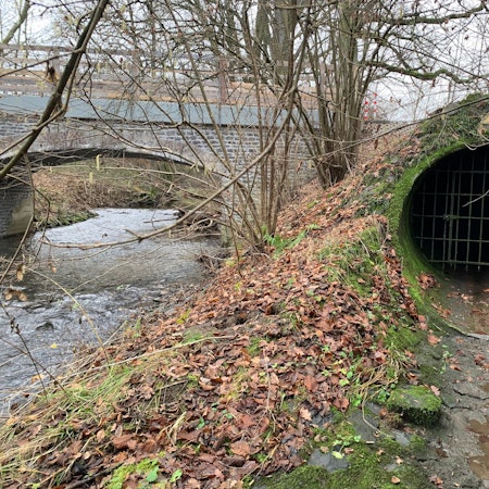 Neben einem Bach, über den eine Brücke führt, ist eine vergitterte Öffnung zu sehen.