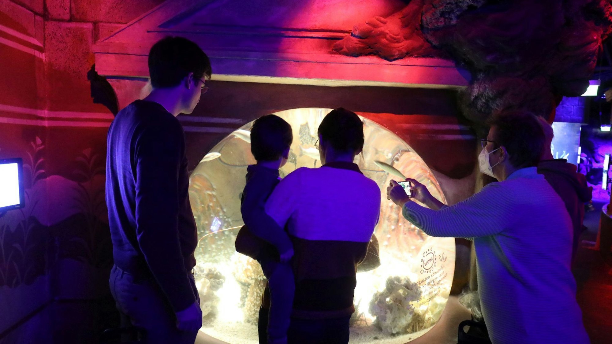 Drei Erwachsene, darunter eine Frau mit einem Kind auf dem Arm, stehen vor einem der Aquarien. Eine Frau macht ein Foto mit dem Handy.
