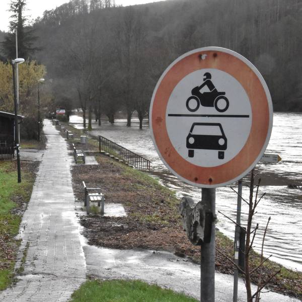 Ein Verbotsschild für Kraftfahrzeuge steht an einem schmalen asphaltierten Weg zwischen dem Fluss Sieg und einem Grünstreifen. Zwischen Sitzbänken sind die geschredderte Überreste von Vegetation zu erkennen.