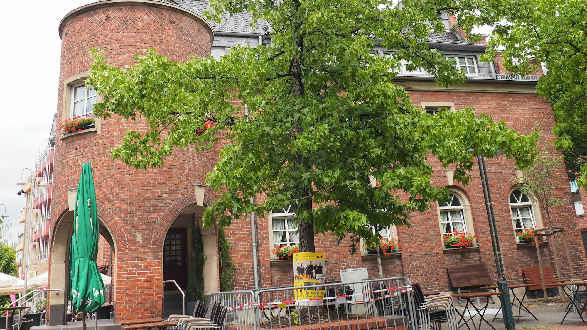 Der Amberbaum auf dem Marktplatz in Pulheim
