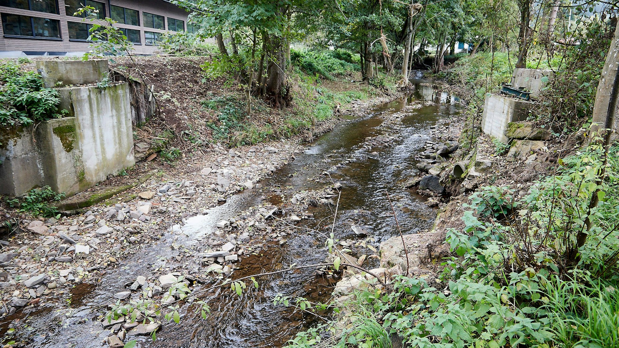 Die Flut hat eine Brücke über einen Bach weggespült, die Pfeiler stehen noch.