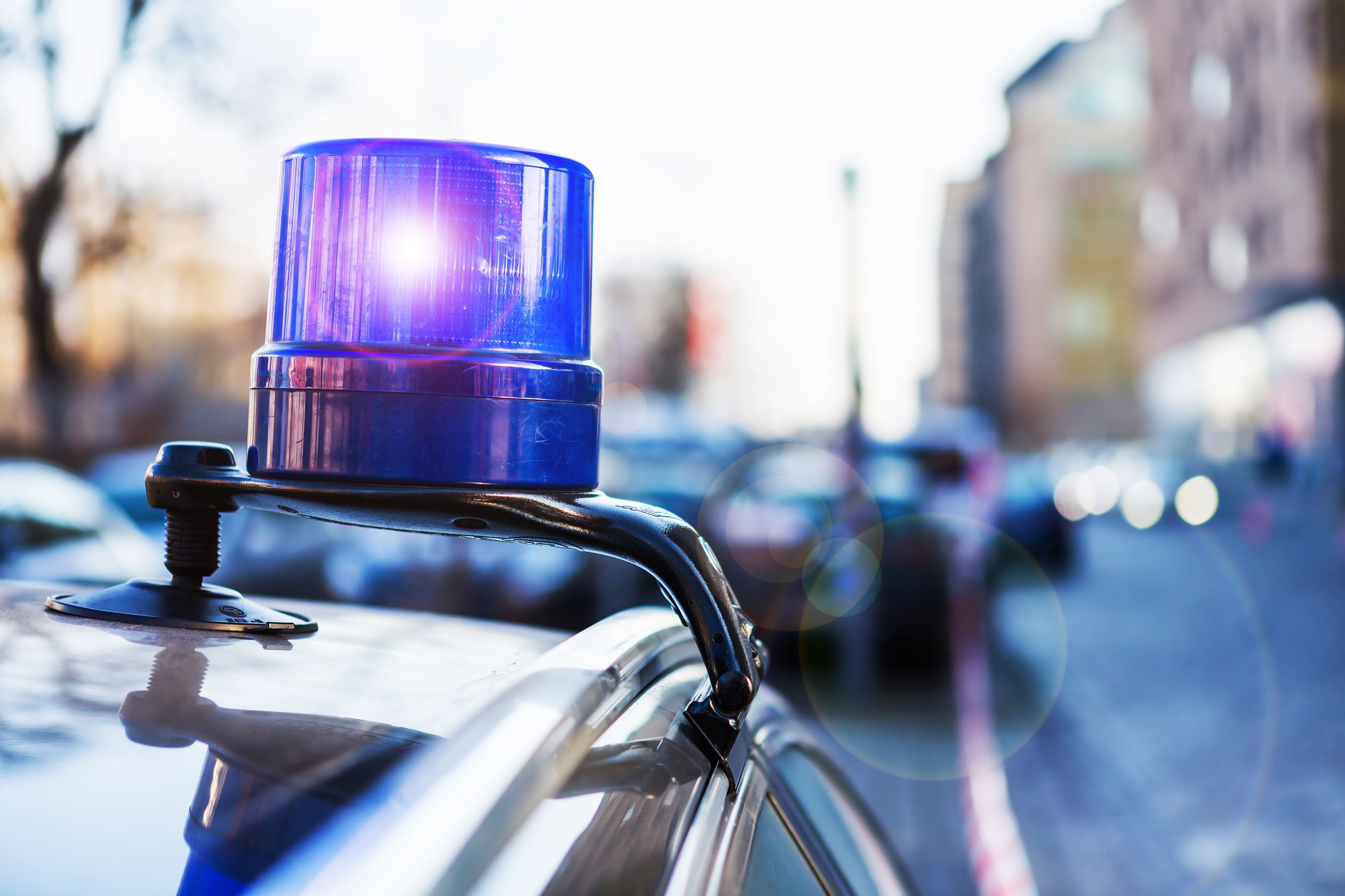 Eingeschaltetes Polizeilicht auf einem Streifenwagen in Berlin.