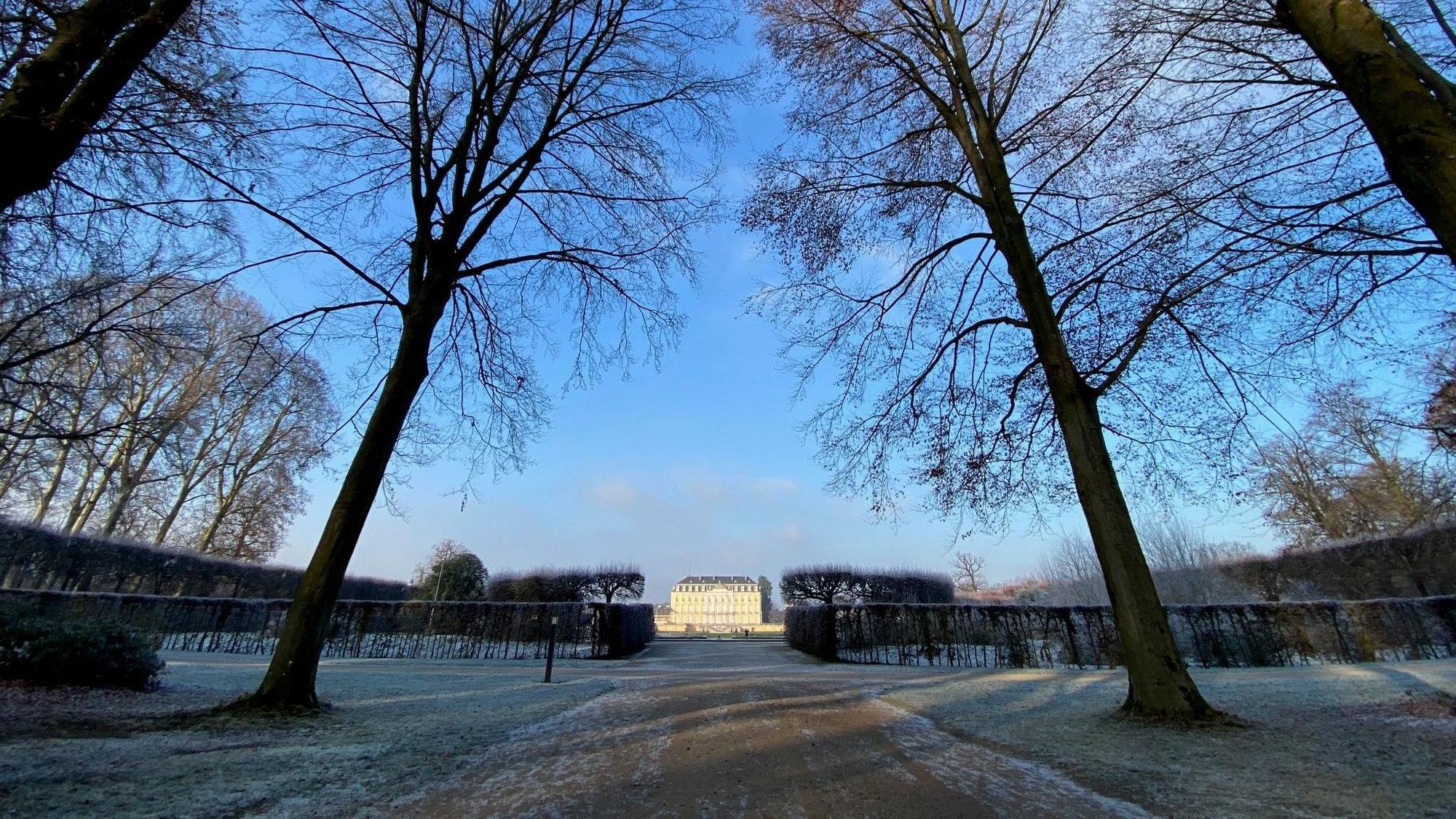 Die jahrhundertealten Bäume prägen den Brühler Schlosspark, doch die trockenen Sommer der vergangenen Jahre haben dem Grün zugesetzt. Im Hintergrund ist das Schloss zu sehen.