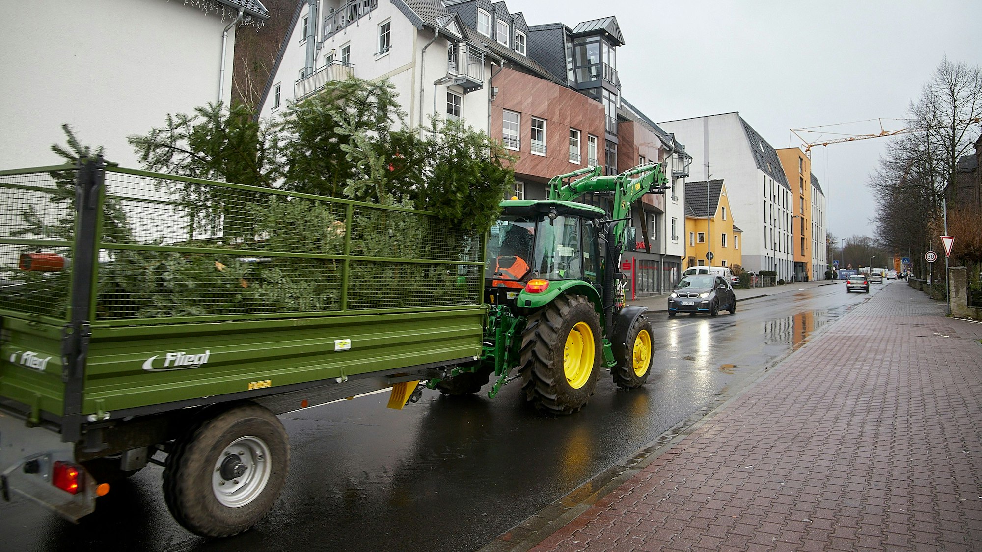 Tannenbäume werden auf einem Traktor-Anhänger transportiert.