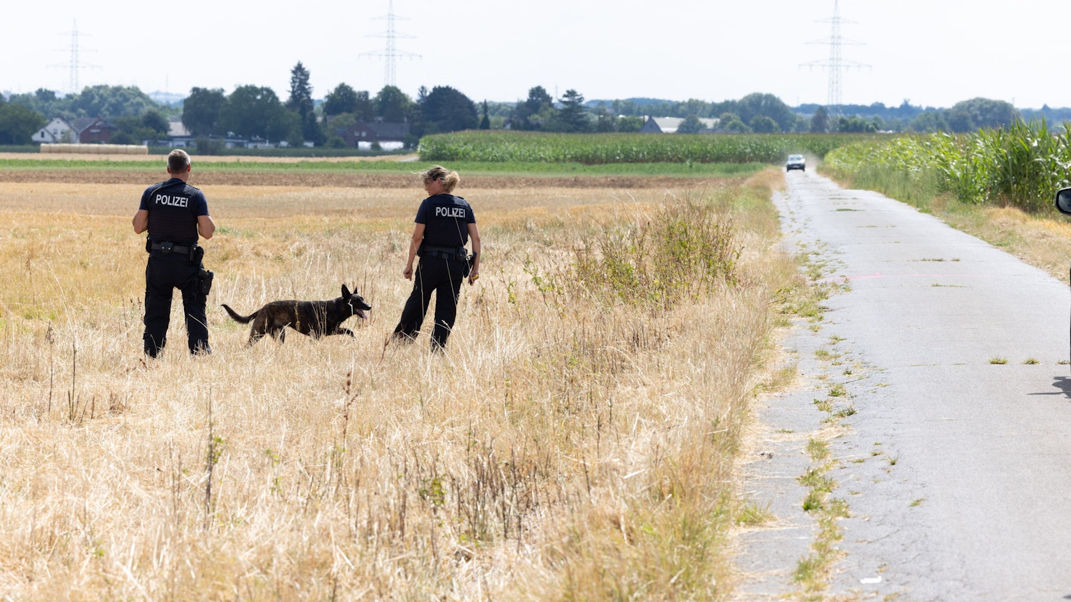 Polizisten und ein Hund suchen im August nach der Abgabe mehrerer Schüsse auf einem Feld bei Essig nach Spuren.