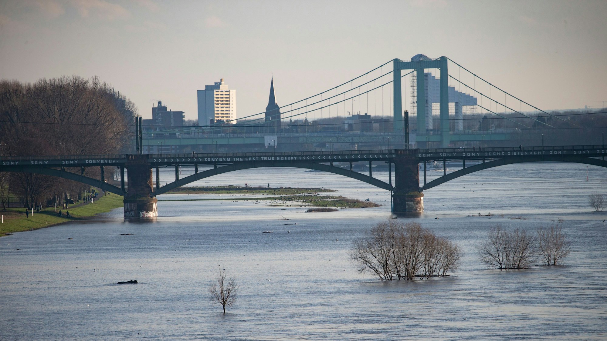 Blick von der Severinsbrücke auf die überschwemmten Poller Wiesen.