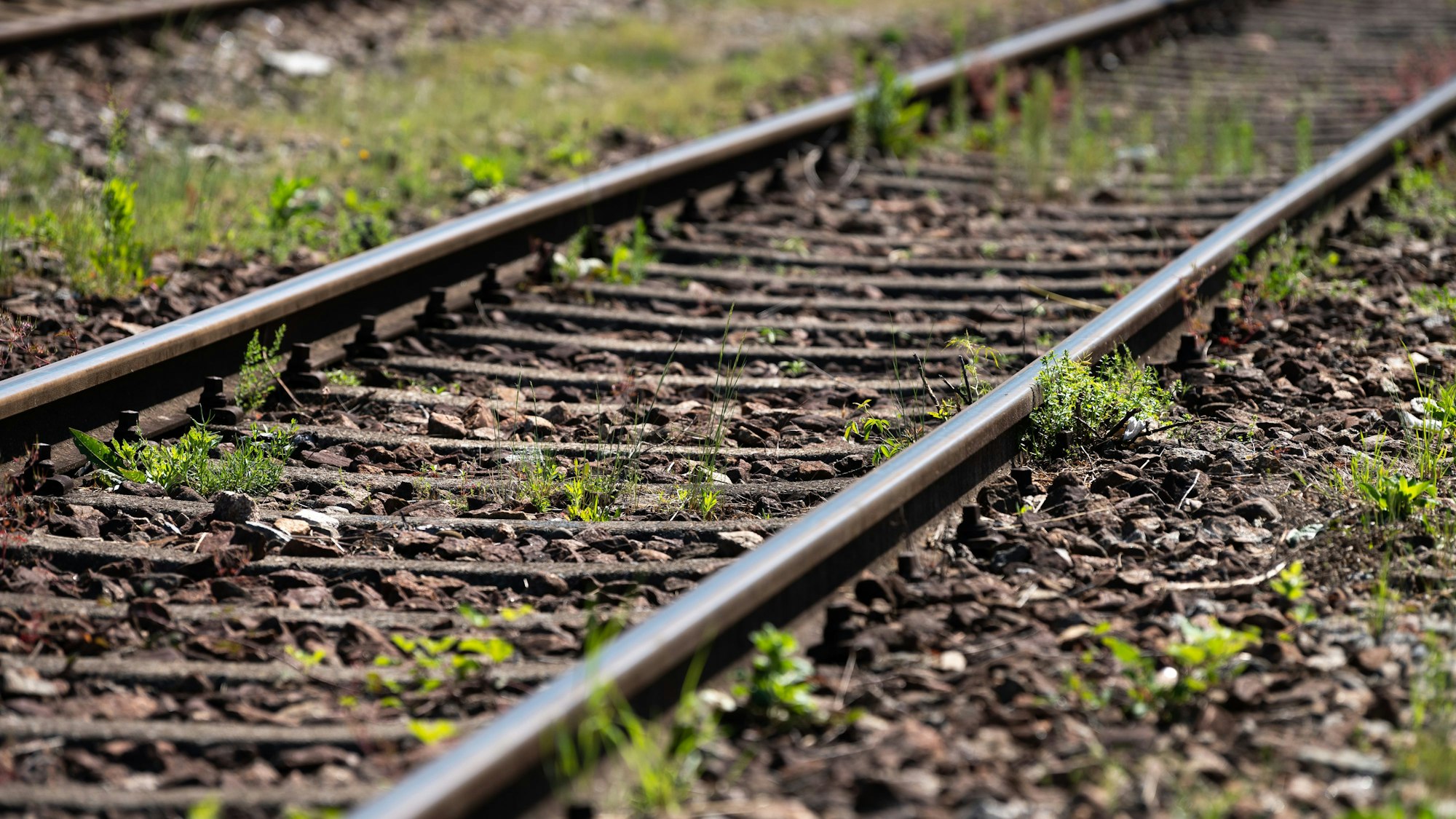 Tödlicher Trend: Seit Jahren gehören Fotos im Gleisbett zu beliebten Fotomotiven bei Jugendlichen. Eine Frau wurde in Wiesloch-Walldorf offenbar bei Aufnahmen von einem Zug erfasst. (Symbolbild)