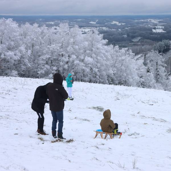 Auf einem verschneiten Hang fahren mehrere Kinder mit ihren Schlitten.
